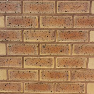 Sapphire Satin Face Brick supplied by DezYNO Bricks – High-quality, durable bricks for building and paving