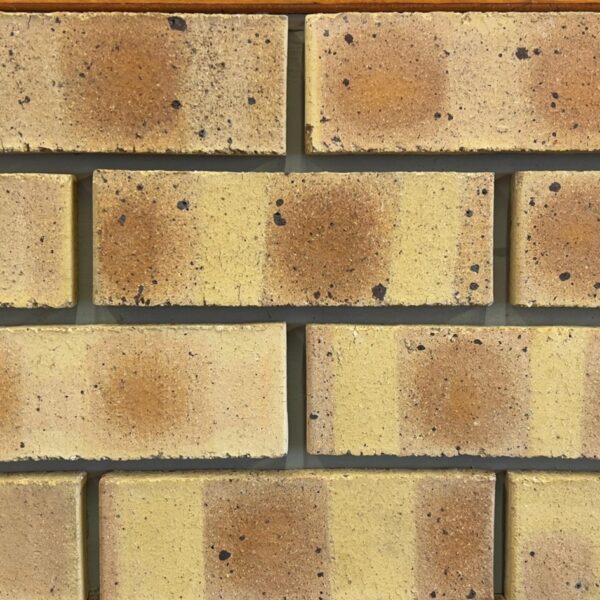 Nkwe Satin Face Brick | DezYNO Bricks | Dezynobricks Nkwe Satin Face Brick supplied by DezYNO Bricks – High-quality, durable bricks for building and paving.