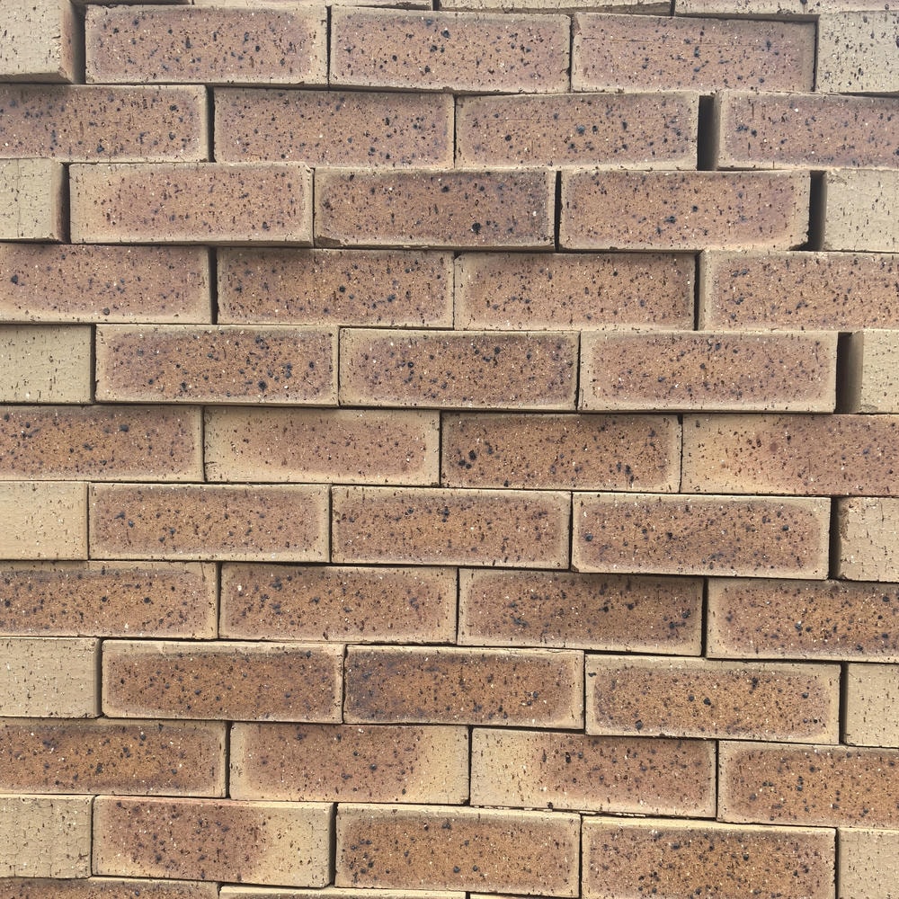 Country Manor Travertine Face Brick supplied by Dezyno Bricks – High-quality, durable bricks for building and paving